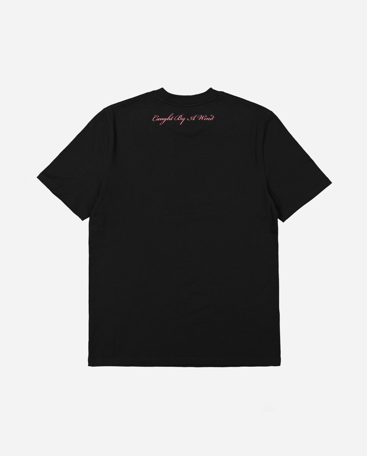 Caught By A Wind T-shirt / Black